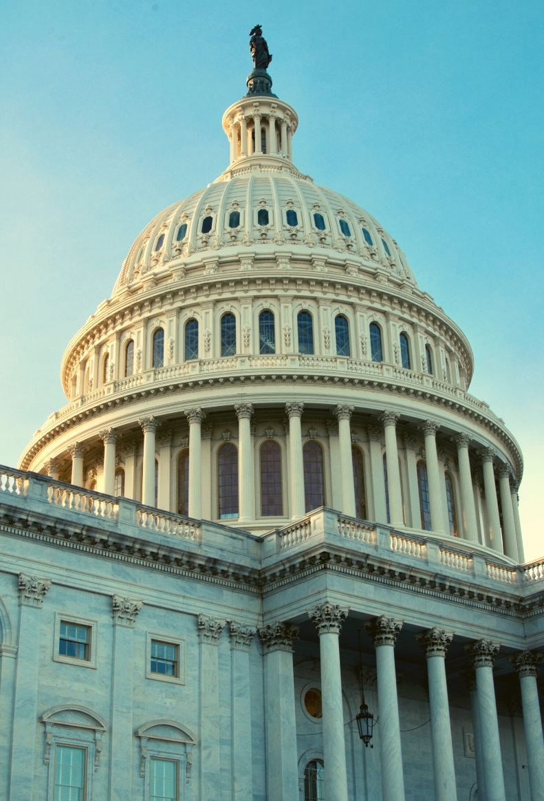 government